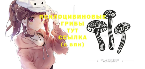 стафф Нягань